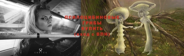 дживик Алексин