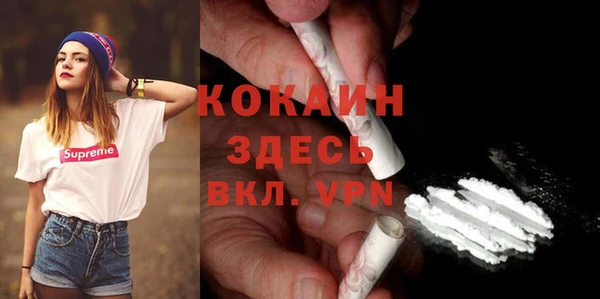 дживик Алексин